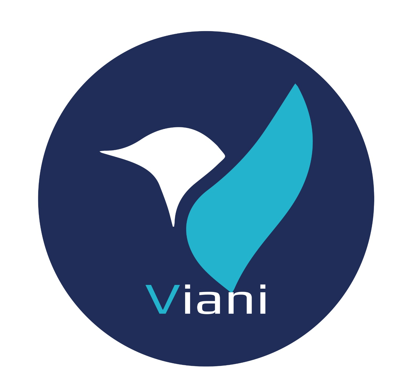 Logo Viani Printings